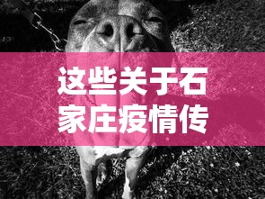 这些关于石家庄疫情传言不实:石家庄疫情试点