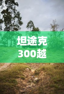 坦途克300越野版多少钱/坦途克300裸车价目表