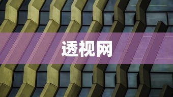 透视网，透视网