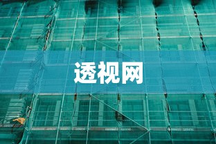 透视网