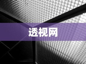 透视网