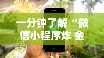 一分钟了解“微信小程序炸 金花房卡上哪充值”获取房卡教程-哔哩哔哩