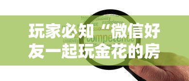 玩家必知“微信好友一起玩金花的房卡”哪里获取房卡