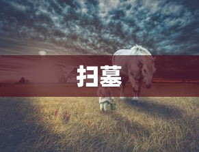 扫墓，清明扫墓，一场与逝者的无声对话