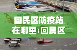 回民区防疫站在哪里:回民区服务大厅在哪里