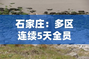 石家庄：多区连续5天全员核检，石家庄多区连续5天全员核检