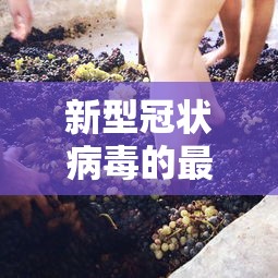 新型冠状病毒的最新消息,新型冠状病毒最新动态