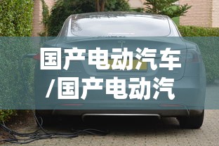 国产电动汽车/国产电动汽车哪个品牌最好