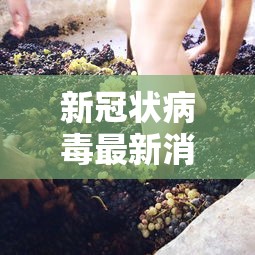 新冠状病毒最新消息,新冠疫情最新动态与防控进展