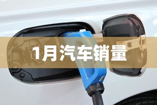 1月汽车销量 1月汽车销量