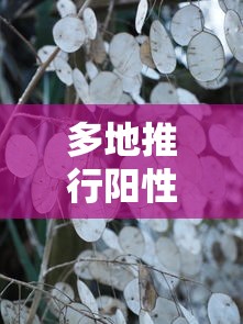 多地推行阳性居家十字花隔离