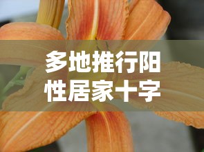 多地推行阳性居家十字花隔离，多地推行阳性居家十字花隔离
