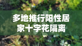 多地推行阳性居家十字花隔离
