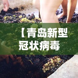 【青岛新型冠状病毒/青岛新冠病毒指数】