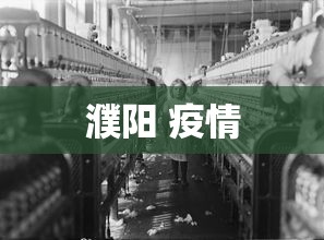 濮阳 疫情,濮阳疫情