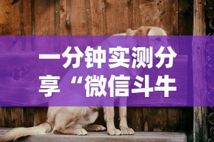 一分钟实测分享“微信斗牛房卡充值”详细介绍房卡使用方式