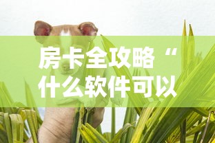 给大家普及“牛牛链接房卡去哪买”详细房卡教程