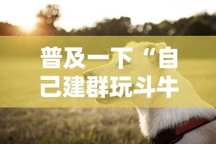 普及一下“自己建群玩斗牛房卡去哪买”详细房卡怎么购买方式
