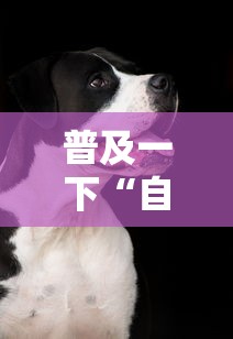 普及一下“自己建群玩斗牛房卡去哪买”详细房卡怎么购买方式