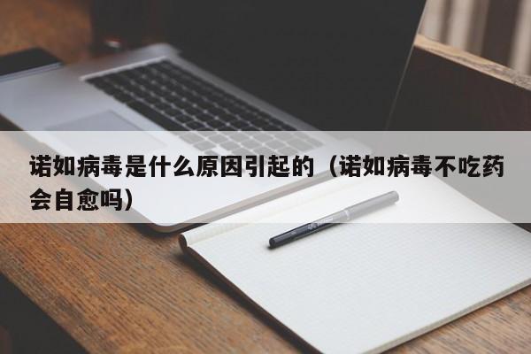 诺如病毒是什么原因引起的(诺如病毒不吃药会自愈吗)