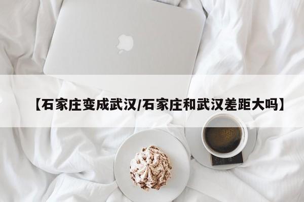 【石家庄变成武汉/石家庄和武汉差距大吗】