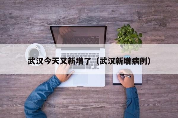 武汉今天又新增了(武汉新增病例)