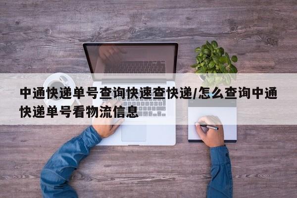 中通快递单号查询快速查快递/怎么查询中通快递单号看物流信息