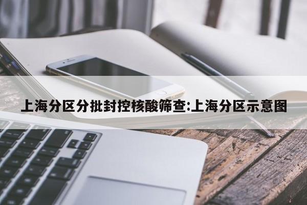 上海分区分批封控核酸筛查:上海分区示意图