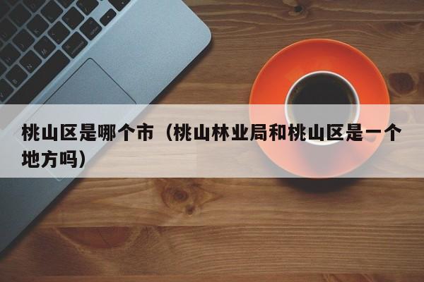 桃山区是哪个市(桃山林业局和桃山区是一个地方吗)